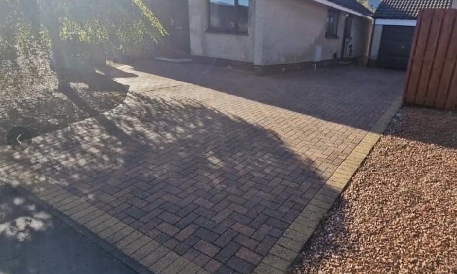 Driveway under the trees, cleaned by Steam King
